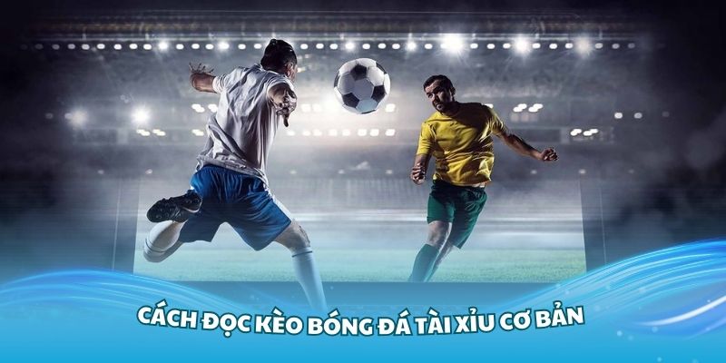 Nắm vững cách đọc kèo bóng đá tài xỉu cơ bản