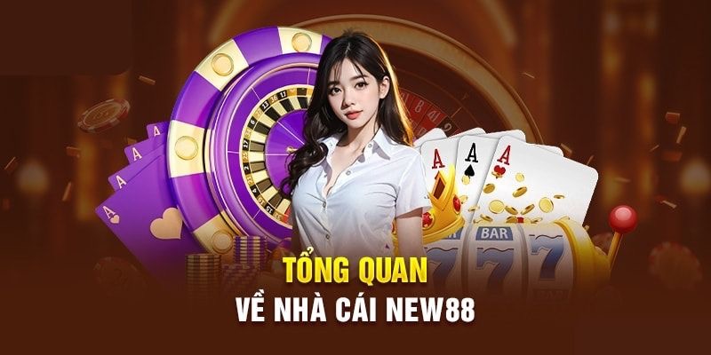 Tổng quan về thương hiệu cá cược New88