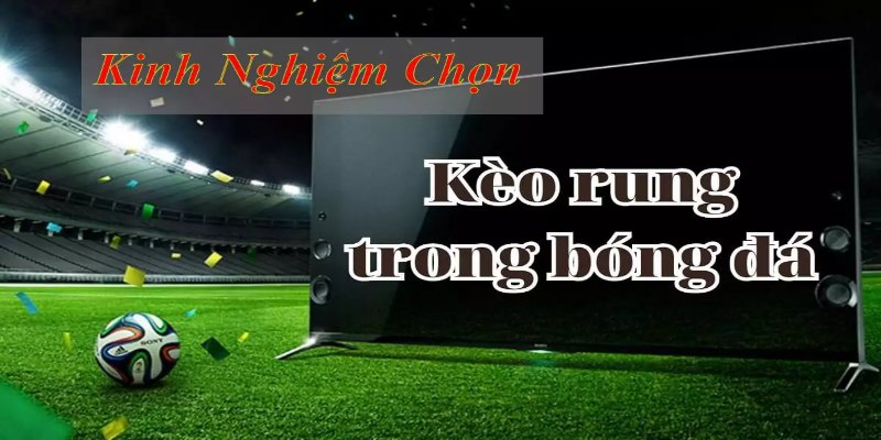 Phương pháp tham gia kèo rung hiệp 1