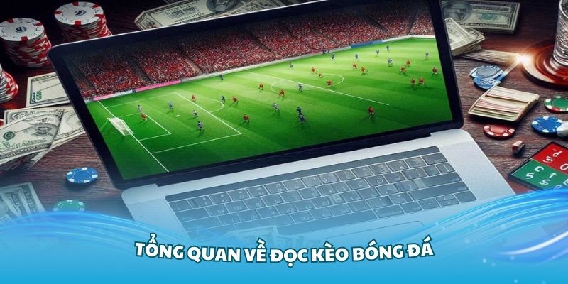 Giới thiệu tổng quan về đọc kèo bóng đá