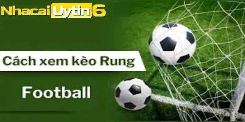 Những mẹo giúp bạn đọc hiểu kèo rung hiệu quả