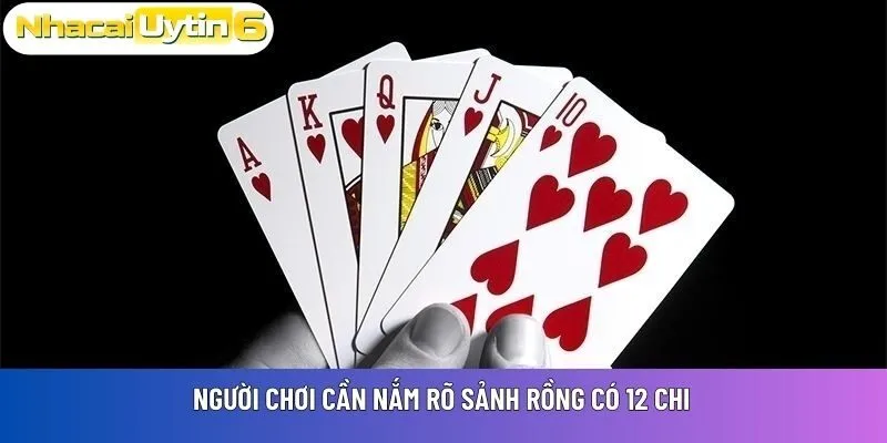 Người chơi cần nắm rõ sảnh rồng có 12 chi