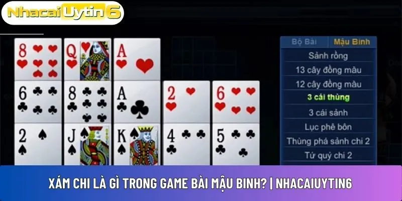 Xám chi là gì